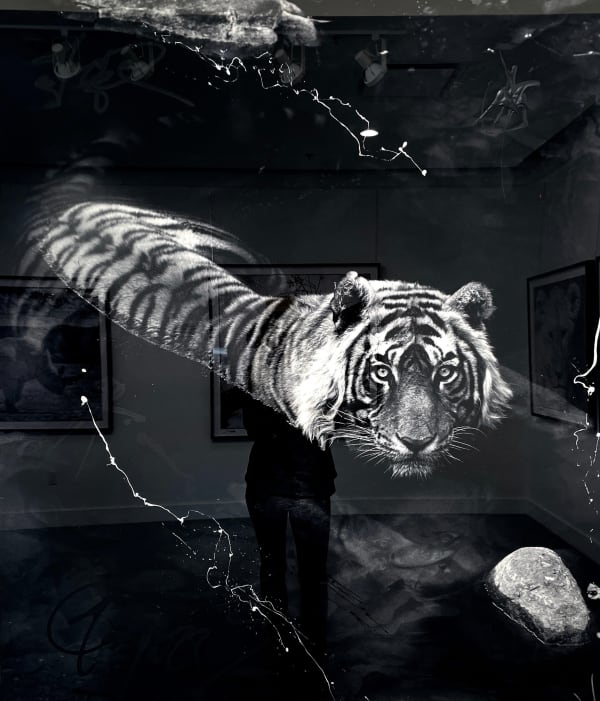 Arno Elias, Black Tiger AP 1/3, 2021