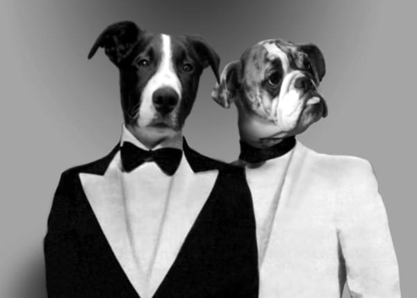 Maurice Renoma, Clone of Mythologies Focus 4/15