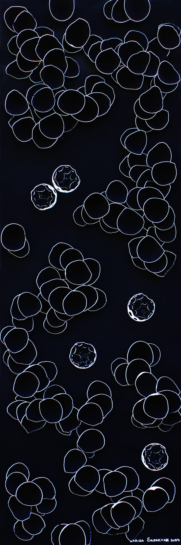 Larisa Safaryan, Harmony in Disarray II, 2024