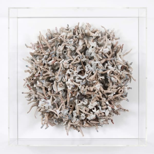 Sandra Shashou, Raising The Barre, 2017