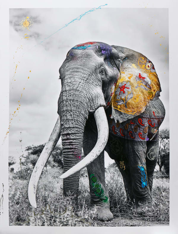 Arno Elias, Kalasha 1/6, 2021