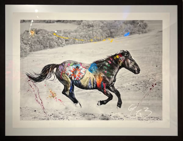 Arno Elias, Wild and Free - 3/9