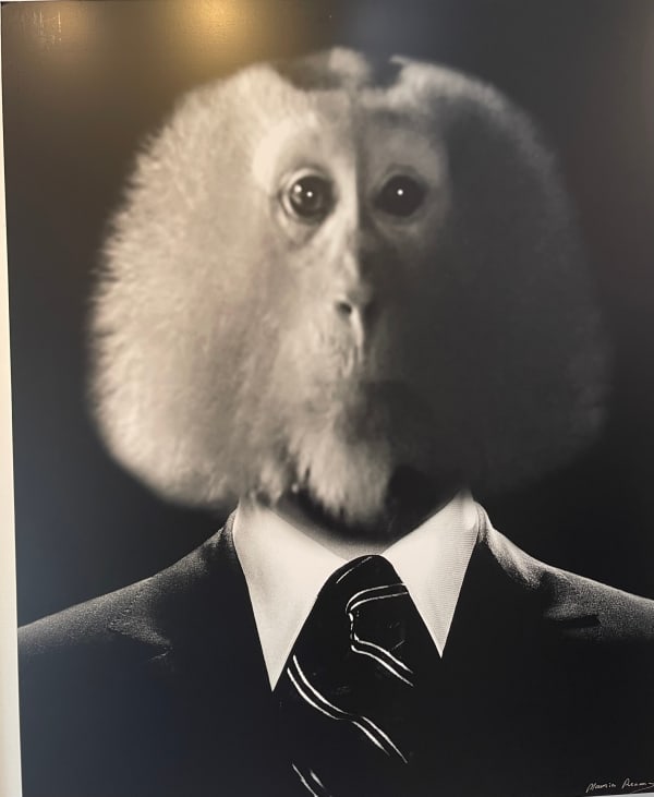 Maurice Renoma, Mythologies 590 Large