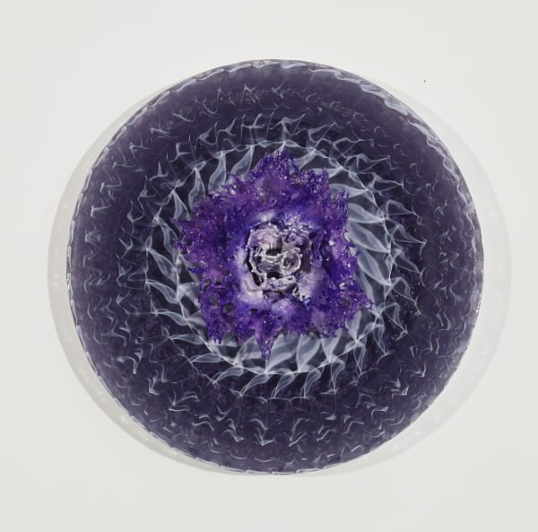 Annalù, Violet Lotus Light Disc