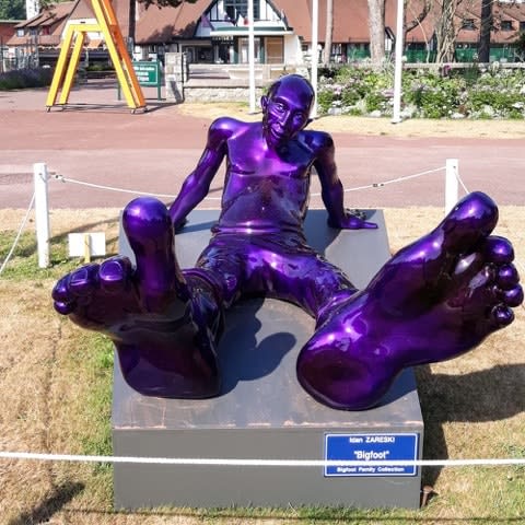 Idan Zareski, Bigfoot 250 Resin Purple 7/8, 2011