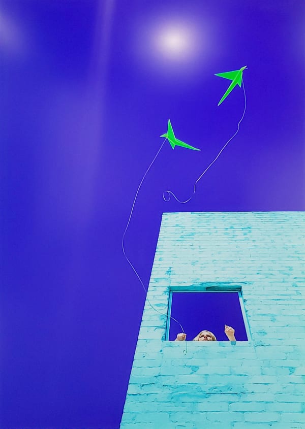 Reine Paradis, Birds (Large), 2018