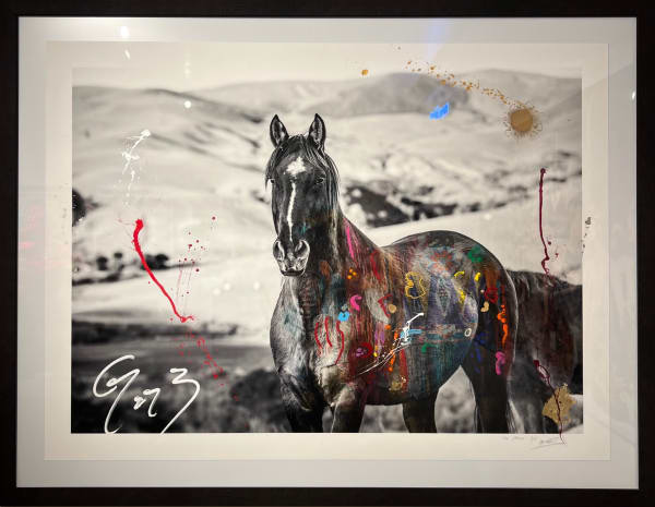 Arno Elias, The Stallion - 5/9