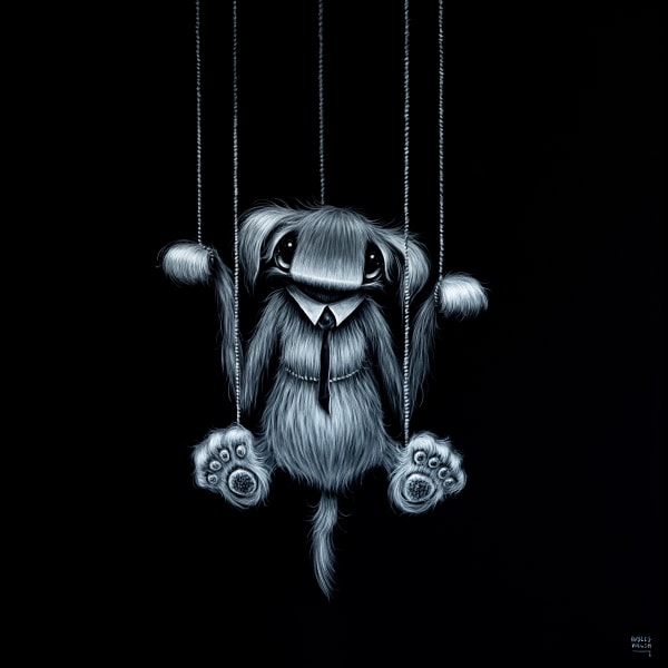 Hayley Welsh, Own Your Strings