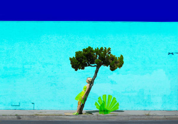 Reine Paradis, Peacock (Medium), 2018