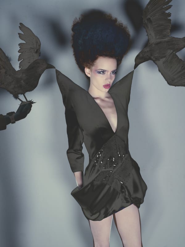 ‘Beautiful Shining Black Crow’