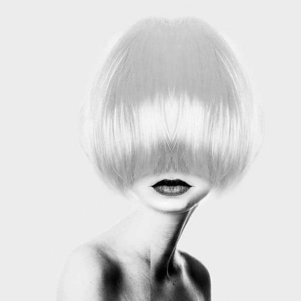 vandeCamp & Heesterbeek