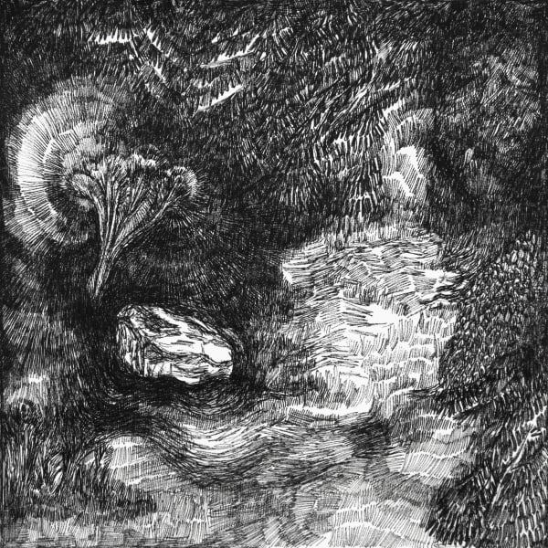 Rozemarijn Westerink