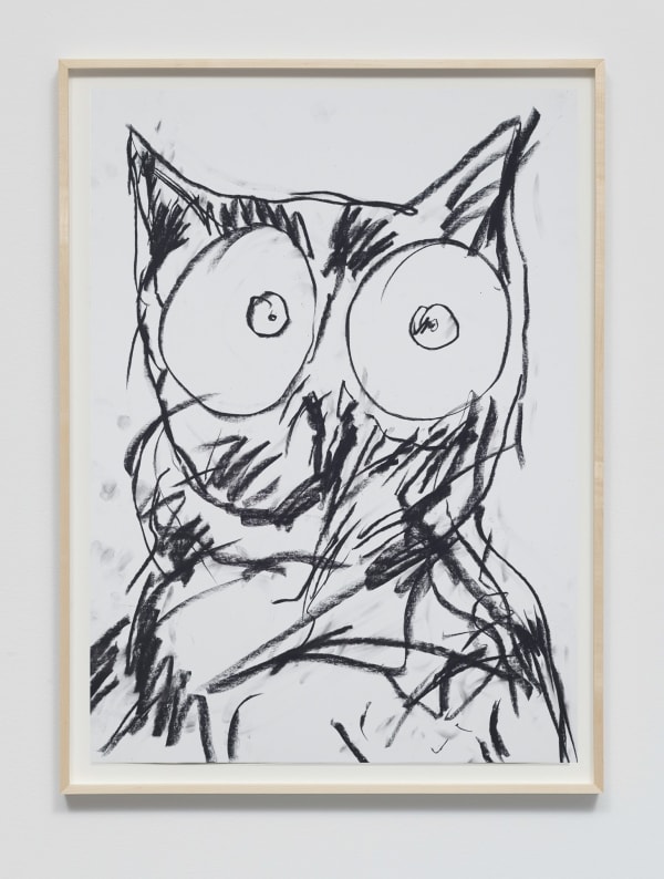 Cameron Platter, Owl, 2022