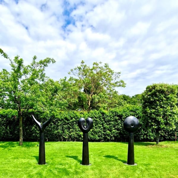 Willen-Voelen-Denken (3-luik)