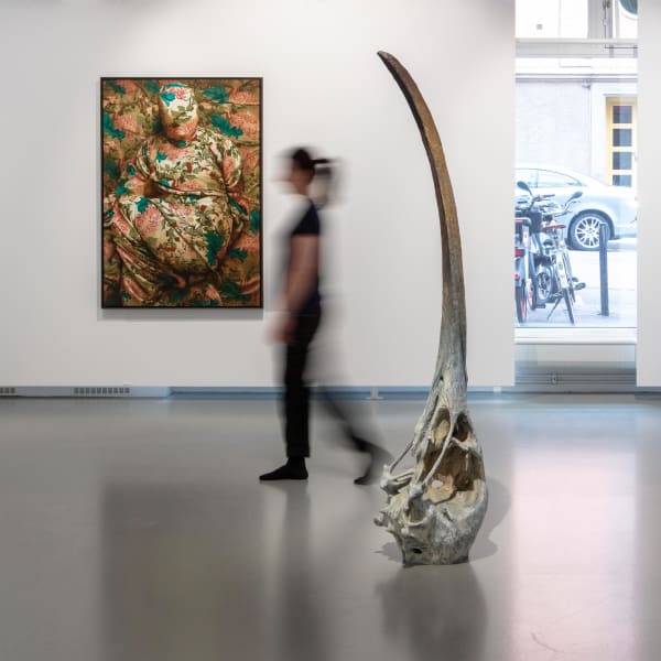 Markus Åkesson, Ibis, 2023