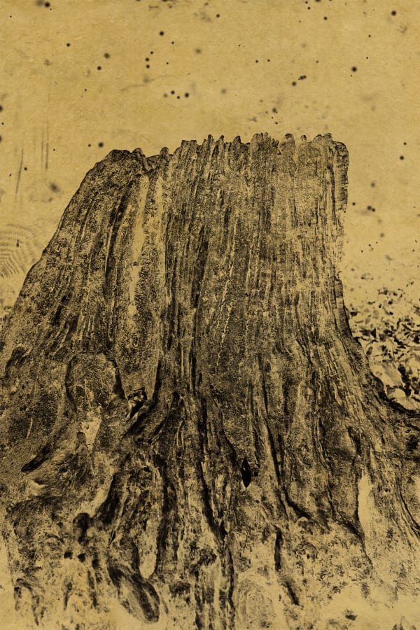 Albarrán Cabrera, Nyx #10, 2018