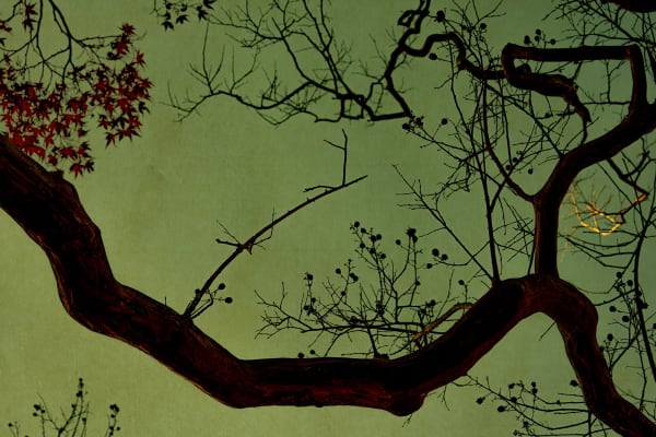 Albarrán Cabrera, The Mouth of Krishna #778, 2023