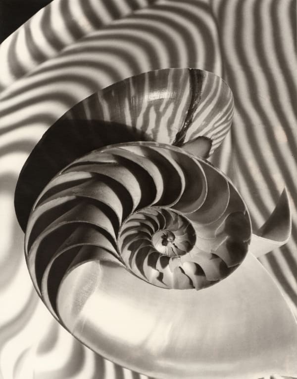 Carlotta Corpron, Nautilus and Concave Mirror, 1946