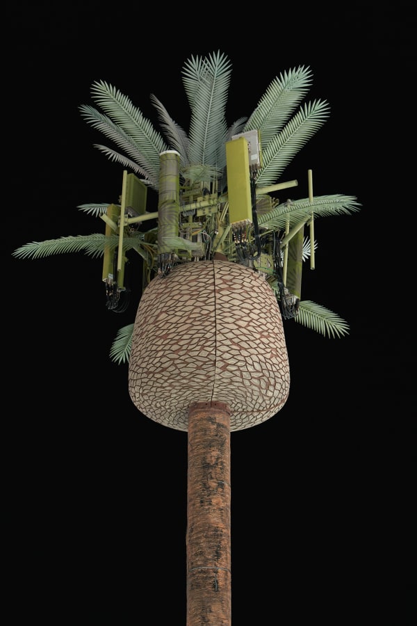 Kaya & Blank, Second Nature #89, 2022