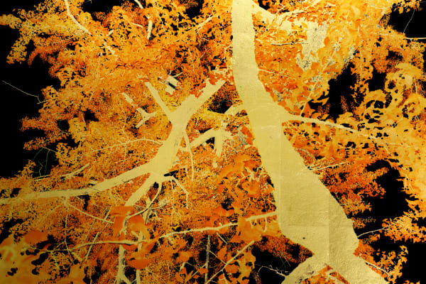 Albarrán Cabrera, The Indestructible #70013, 2025