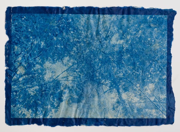 Mika Horie, Early Blooming Plum Trees, 2022