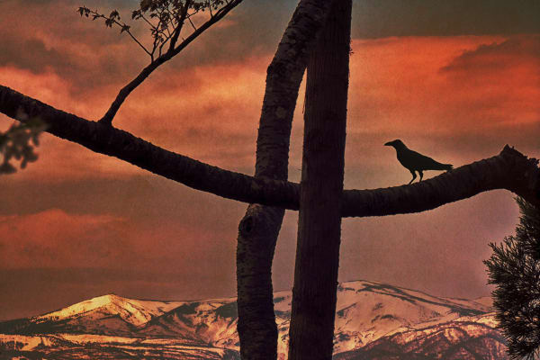 Albarrán Cabrera, The Mouth of Krishna #766, 2018