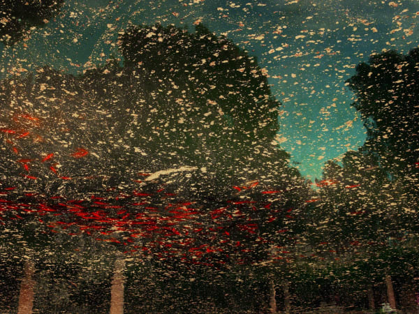 Albarrán Cabrera, The Mouth of Krishna #122, 2017