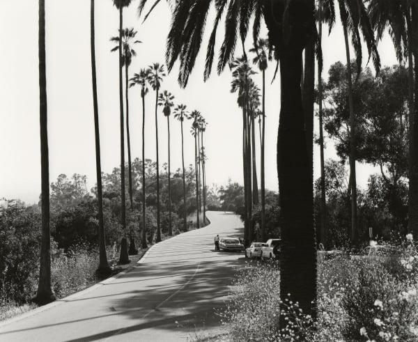 Elysian Park