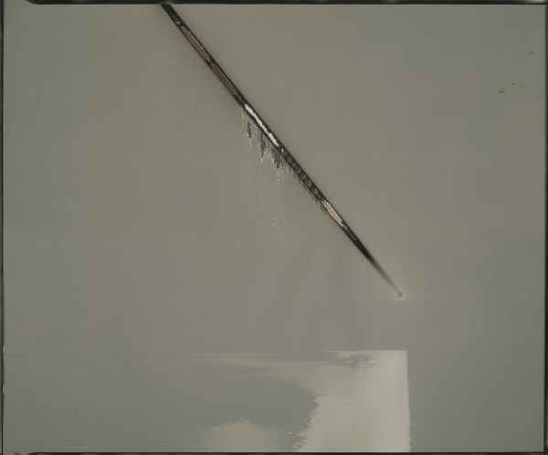 Chris McCaw, Sunburned GSP #1059 , 2020