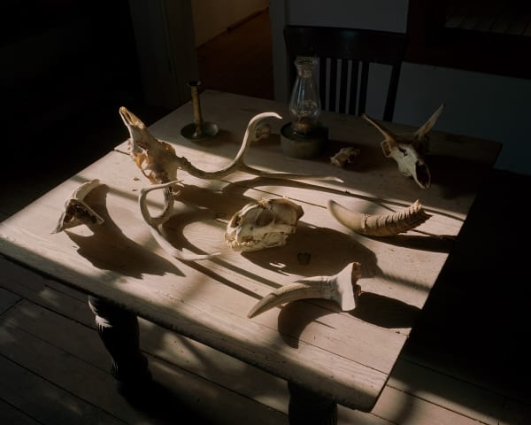 Bryan Schutmaat, Bones, TX, 2022