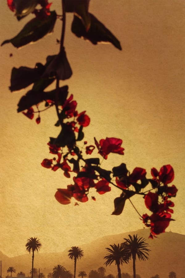 Albarrán Cabrera, The Mouth of Krishna, #797, 2019