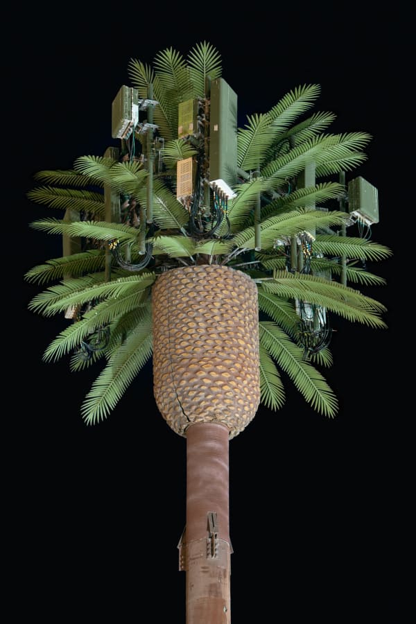 Kaya & Blank, Second Nature #87, 2022