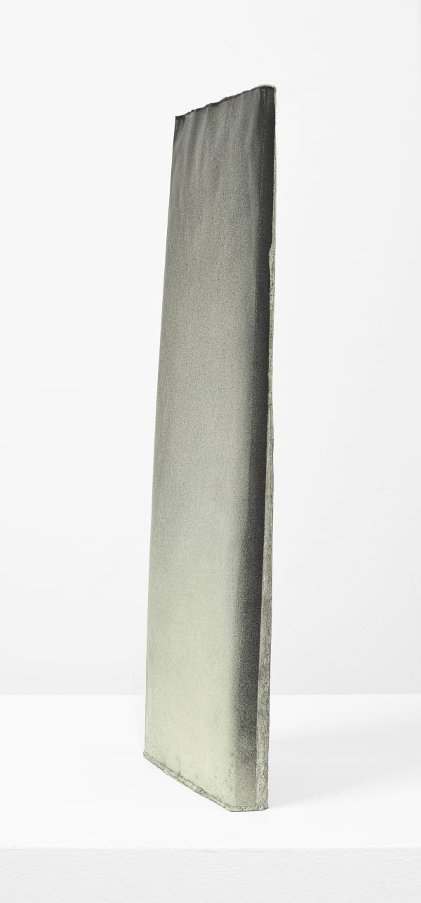 Photosculpture