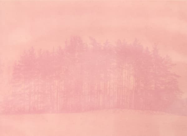 Krista Svalbonas, Partisan 5, 2025