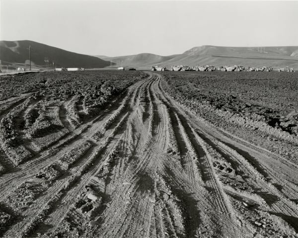 Ryan McIntosh, Tire Tracks, Coral Fire, Tracy Hills, CA, 2024