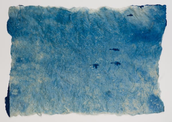 Mika Horie, Myth of Swans, 2022