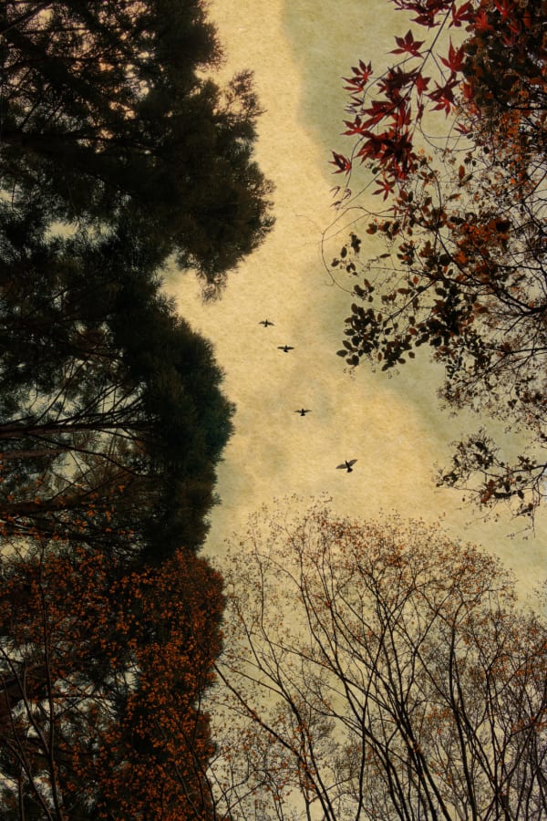 Albarrán Cabrera, The Mouth of Krishna, #780, 2016