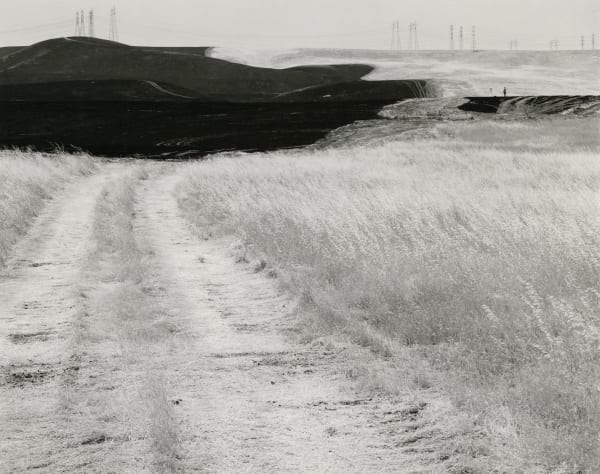 Ryan McIntosh, Corral Fire, Tracy Hills, CA, 2024