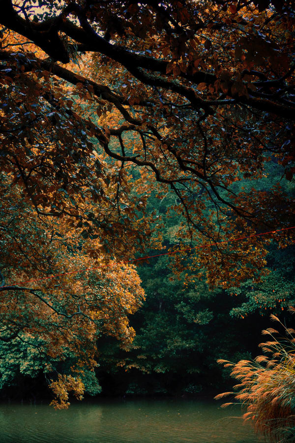 Albarrán Cabrera, The Mouth of Krishna #60200, 2016