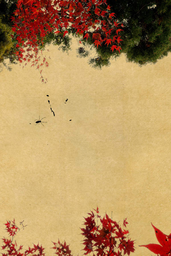 Albarrán Cabrera, The Mouth of Krishna, #793, 2019