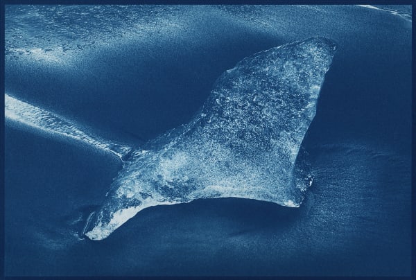 Ryan McIntosh, Jökulsárlón, Iceland, 2017