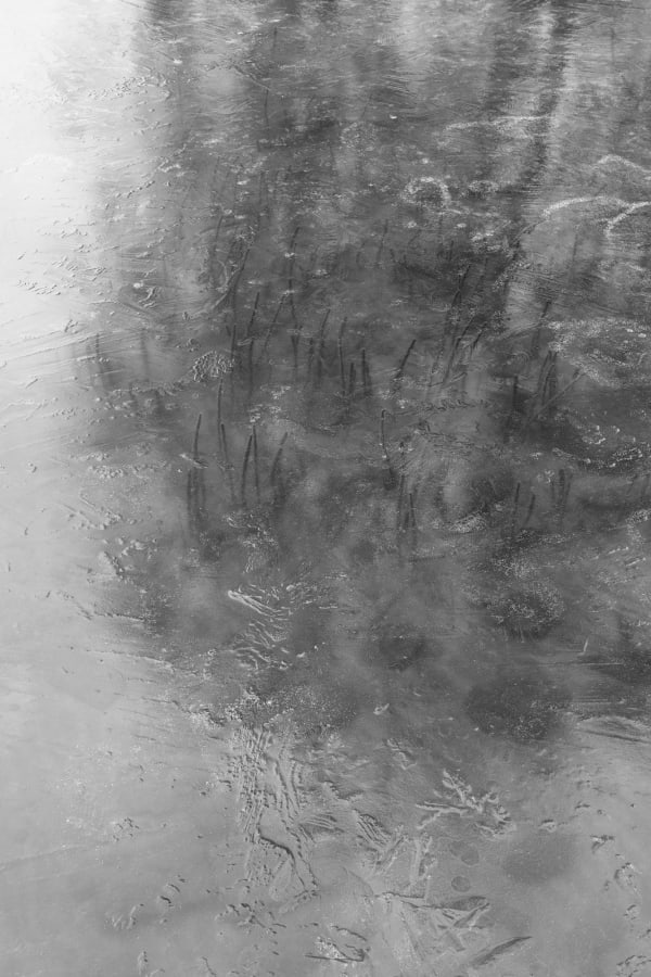 Judith Stenneken, Bistensee, 2021