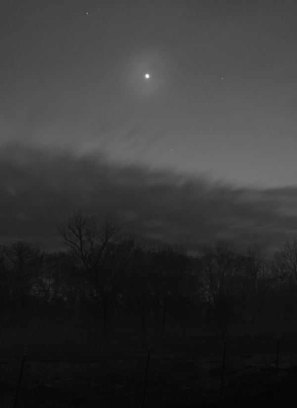 Bryan Schutmaat, Star, 2017