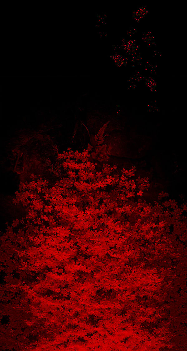 Albarrán Cabrera, The Mouth of Krishna, #921, 2014