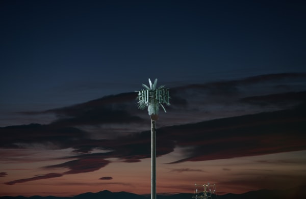 Kaya & Blank, Second Nature #76, 2022