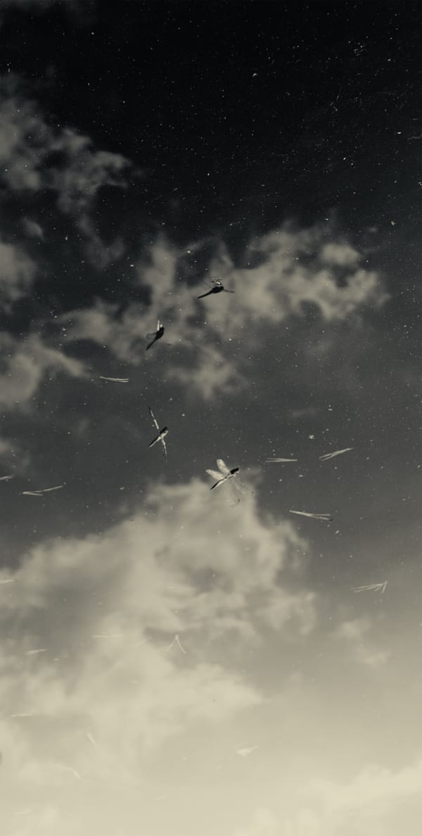 Albarrán Cabrera, The Mouth of Krishna, #146, 2013