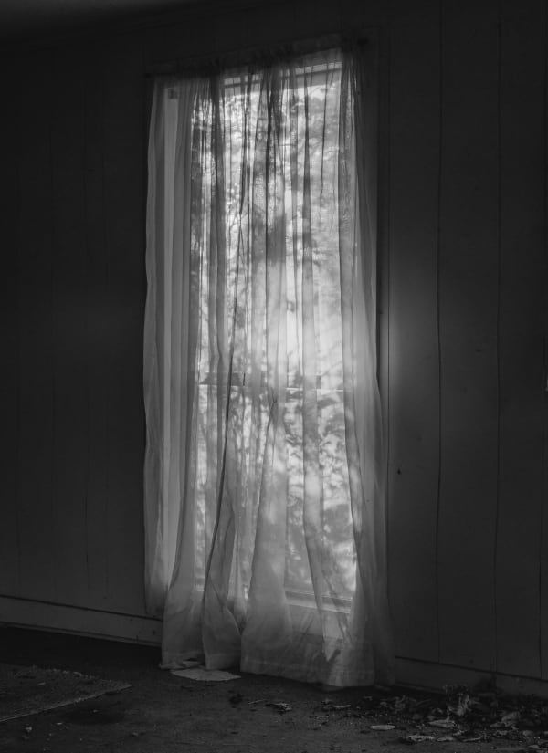 Bryan Schutmaat, Window, 2020