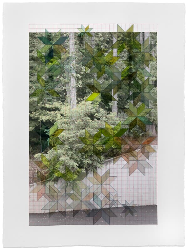 David Samuel Stern, Untitled Tree Patterns II, 2022