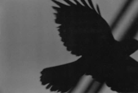 Masahisa Fukase, Erimo Cape, 1976