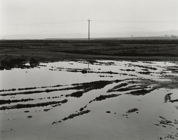 Ryan McIntosh, Flooded Landscape, Tracy Hills, CA, 2021